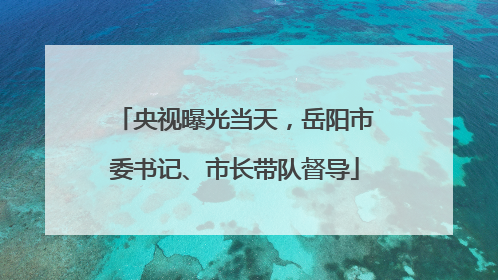 央视曝光当天，岳阳市委书记、市长带队督导