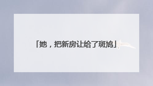 她，把新房让给了斑鸠