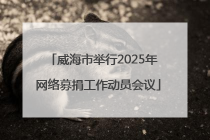 威海市举行2025年网络募捐工作动员会议