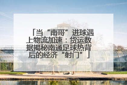 当“南哥”进球遇上物流加速：货运数据揭秘南通足球热背后的经济“射门”