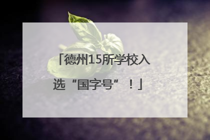 德州15所学校入选“国字号”！