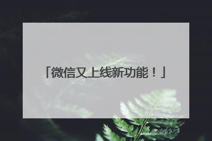 微信又上线新功能！
