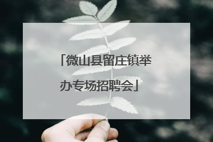 微山县留庄镇举办专场招聘会