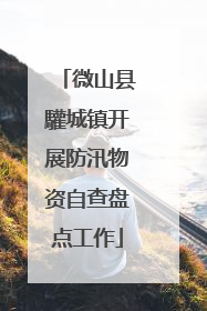 微山县驩城镇开展防汛物资自查盘点工作