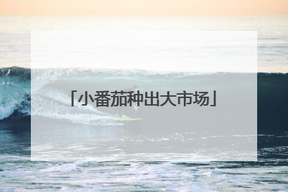 小番茄种出大市场