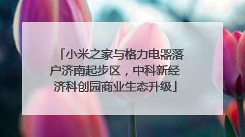 小米之家与格力电器落户济南起步区，中科新经济科创园商业生态升级