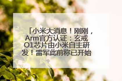 小米大消息！刚刚，Arm官方认证：玄戒O1芯片由小米自主研发！雷军此前称已开始大规模量产