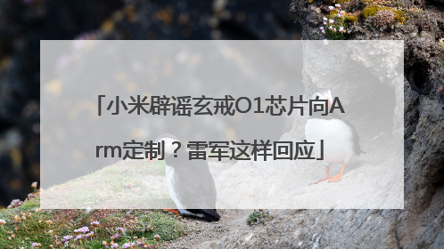 小米辟谣玄戒O1芯片向Arm定制？雷军这样回应