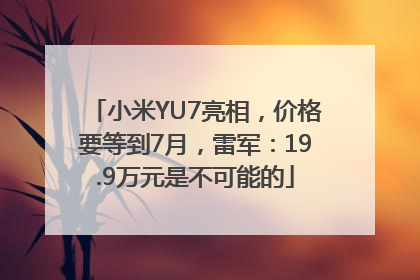 小米YU7亮相，价格要等到7月，雷军：19.9万元是不可能的