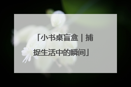 小书桌盲盒｜捕捉生活中的瞬间