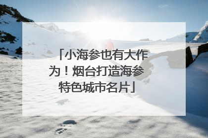 小海参也有大作为！烟台打造海参特色城市名片