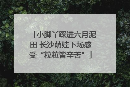 小脚丫踩进六月泥田 长沙萌娃下场感受“粒粒皆辛苦”