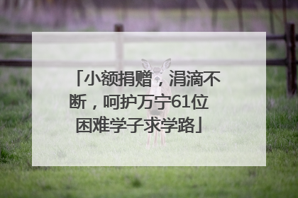 小额捐赠，涓滴不断，呵护万宁61位困难学子求学路