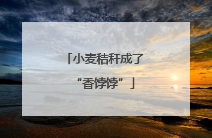 小麦秸秆成了“香饽饽”