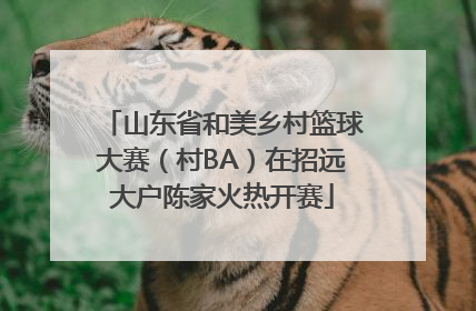 山东省和美乡村篮球大赛（村BA）在招远大户陈家火热开赛