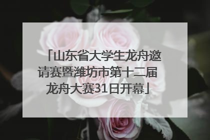 山东省大学生龙舟邀请赛暨潍坊市第十二届龙舟大赛31日开幕