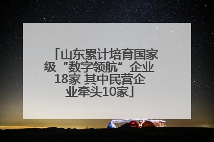 山东累计培育国家级“数字领航”企业18家 其中民营企业牵头10家