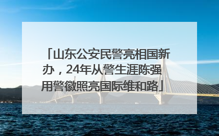 山东公安民警亮相国新办，24年从警生涯陈强用警徽照亮国际维和路