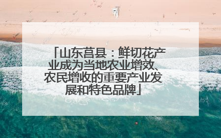 山东莒县：鲜切花产业成为当地农业增效、农民增收的重要产业发展和特色品牌