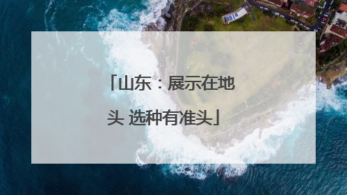 山东：展示在地头 选种有准头