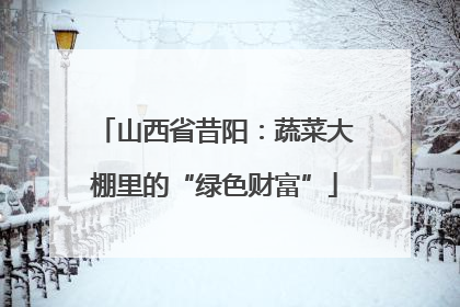 山西省昔阳：蔬菜大棚里的“绿色财富”