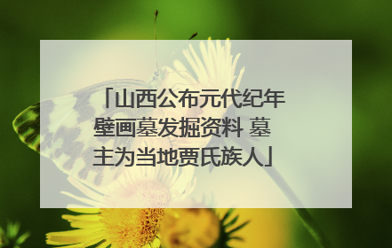山西公布元代纪年壁画墓发掘资料 墓主为当地贾氏族人