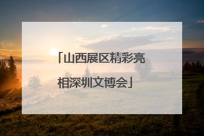 山西展区精彩亮相深圳文博会