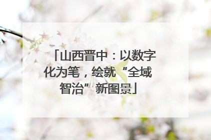 山西晋中：以数字化为笔，绘就“全域智治”新图景