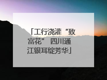 工行浇灌“致富花” 四川通江银耳绽芳华