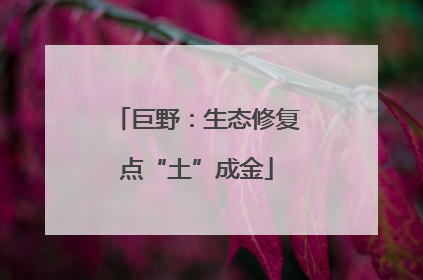 巨野：生态修复点“土”成金