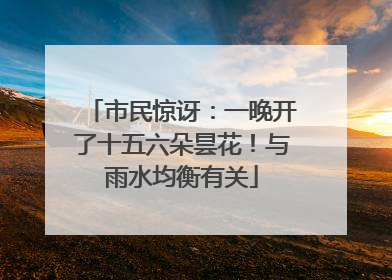 市民惊讶：一晚开了十五六朵昙花！与雨水均衡有关