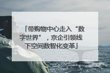 带购物中心走入“数字世界”，京企引领线下空间数智化变革
