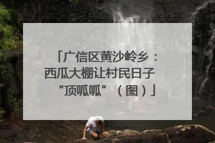 广信区黄沙岭乡：西瓜大棚让村民日子“顶呱呱”（图）