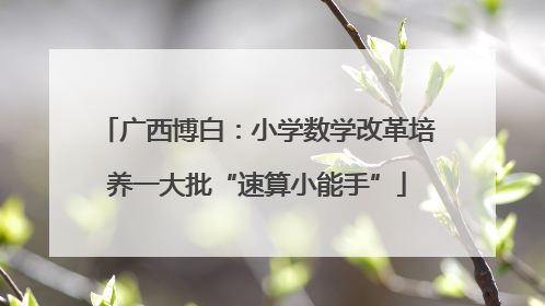 广西博白：小学数学改革培养一大批“速算小能手”