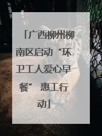 广西柳州柳南区启动“环卫工人爱心早餐” 惠工行动