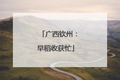 广西钦州：早稻收获忙