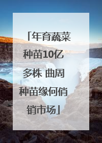 年育蔬菜种苗10亿多株 曲周种苗缘何俏销市场