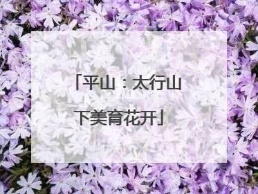 平山：太行山下美育花开