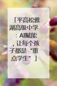 平高松雅湖高级中学：AI赋能，让每个孩子都是“重点学生”
