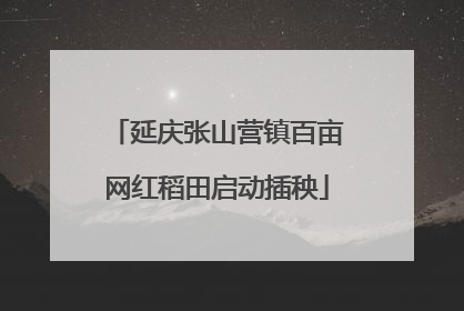 延庆张山营镇百亩网红稻田启动插秧