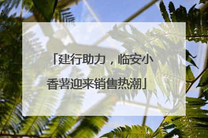 建行助力，临安小香薯迎来销售热潮