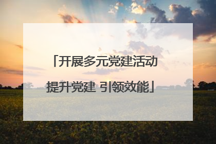 开展多元党建活动 提升党建 引领效能