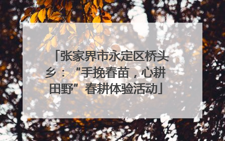 张家界市永定区桥头乡：“手挽春苗，心耕田野”春耕体验活动