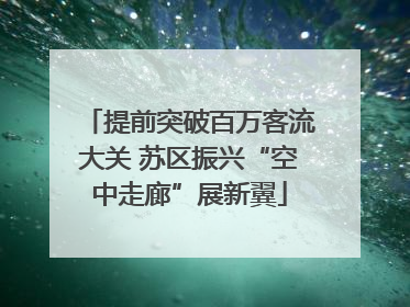 提前突破百万客流大关 苏区振兴“空中走廊”展新翼