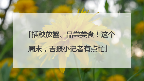 插秧放蟹、品尝美食！这个周末，吉报小记者有点忙