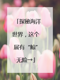探秘海洋世界，这个展有“鲸”无险→