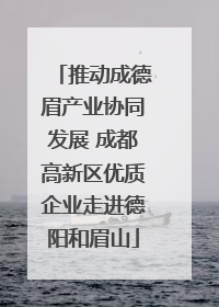 推动成德眉产业协同发展 成都高新区优质企业走进德阳和眉山