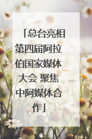 总台亮相第四届阿拉伯国家媒体大会 聚焦中阿媒体合作