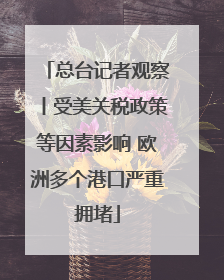 总台记者观察丨受美关税政策等因素影响 欧洲多个港口严重拥堵