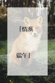情系端午